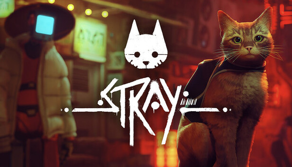 Stray banner