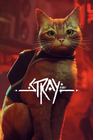 Stray banner