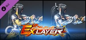 FIGHTING EX LAYER - Color Gold/Silver: Shirase banner