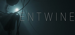 Entwine banner