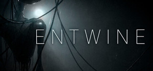 Entwine banner