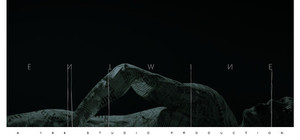 Entwine banner