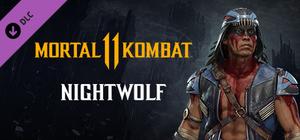 Mortal Kombat 11 Nightwolf banner