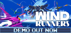 Wind Runners banner