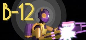 B-12 banner