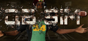 QB Sim banner