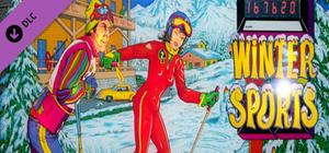 Zaccaria Pinball - Winter Sports Table banner