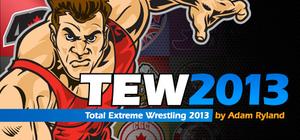 Total Extreme Wrestling 2013 banner