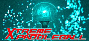 Xtreme Paddleball banner
