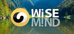 WiseMind banner