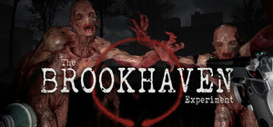 The Brookhaven Experiment banner