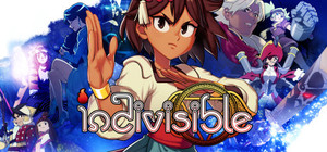 Indivisible banner