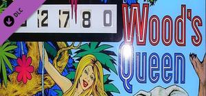 Zaccaria Pinball - Wood's Queen banner