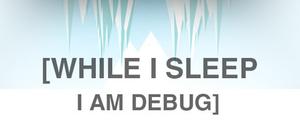 While I Sleep I am Debug banner