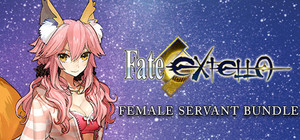 Fate/EXTELLA - Female Servants banner