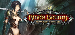 King's Bounty: Armored Princess banner