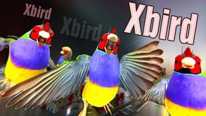 Xbird banner