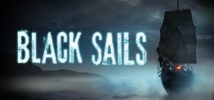 Black Sails banner