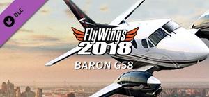 FlyWings 2018 - Baron G58 banner