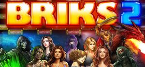 BRIKS 2 banner