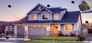 Achievement Collector: Dog banner