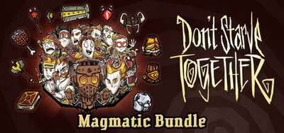 Magmatic Bundle