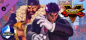 Street Fighter® V - Capcom Pro Tour: 2019 Premier Pass banner