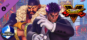 Street Fighter® V - Capcom Pro Tour: 2019 Premier Pass banner