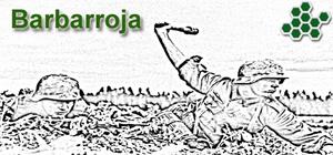 Barbarroja banner