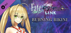 Fate/EXTELLA LINK - Burning Bikini banner