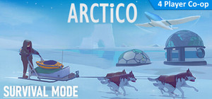 Arctico banner