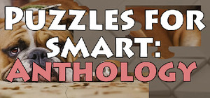 Puzzles for smart - anthology banner