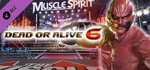 DOA6 Raidou Deluxe Costume banner