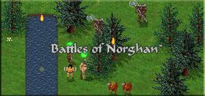 Battles of Norghan banner