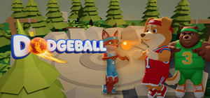 Dodgeball banner