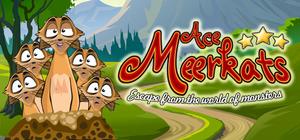 Ace Meerkats banner