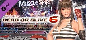 DOA6 Hitomi Deluxe Costume banner
