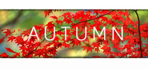 Autumn banner
