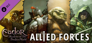 Eador. Masters of the Broken World - Allied Forces banner