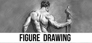 Figure Drawing Fundamentals banner