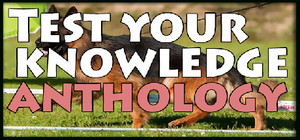 Test your knowledge - anthology banner