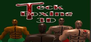 Teck Boxing 3D banner