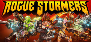 Rogue Stormers banner