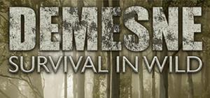 Demesne banner