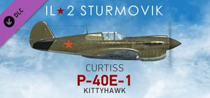 IL-2 Sturmovik: P-40E-1 Collector Plane banner