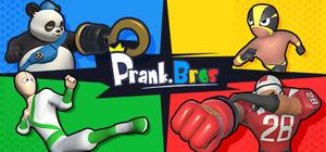 Prank Bros banner
