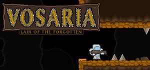Vosaria: Lair of the Forgotten banner