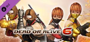 DOA6 Morphing Ninja Costume Set banner
