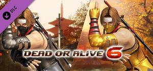 DOA6 Morphing Ninja Costume - Hayate banner
