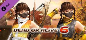 DOA6 Morphing Ninja Costume - Leifang banner